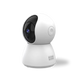 Surveillance