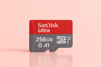 256 giga sandisk