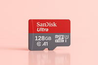 218 giga sanDisk