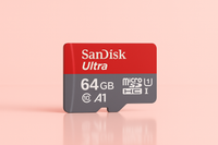 64giga sandisk