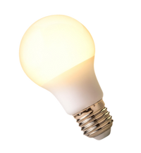 Ampoule LED E27