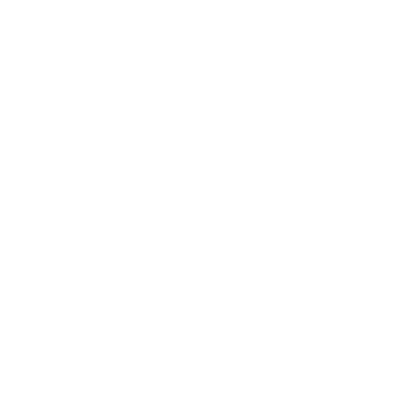 icone checkbox blanc